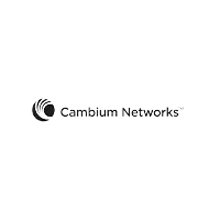 Cambium