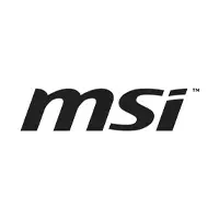 MSI