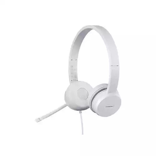 Lenovo 110 Stereo USB Headset thumbnail