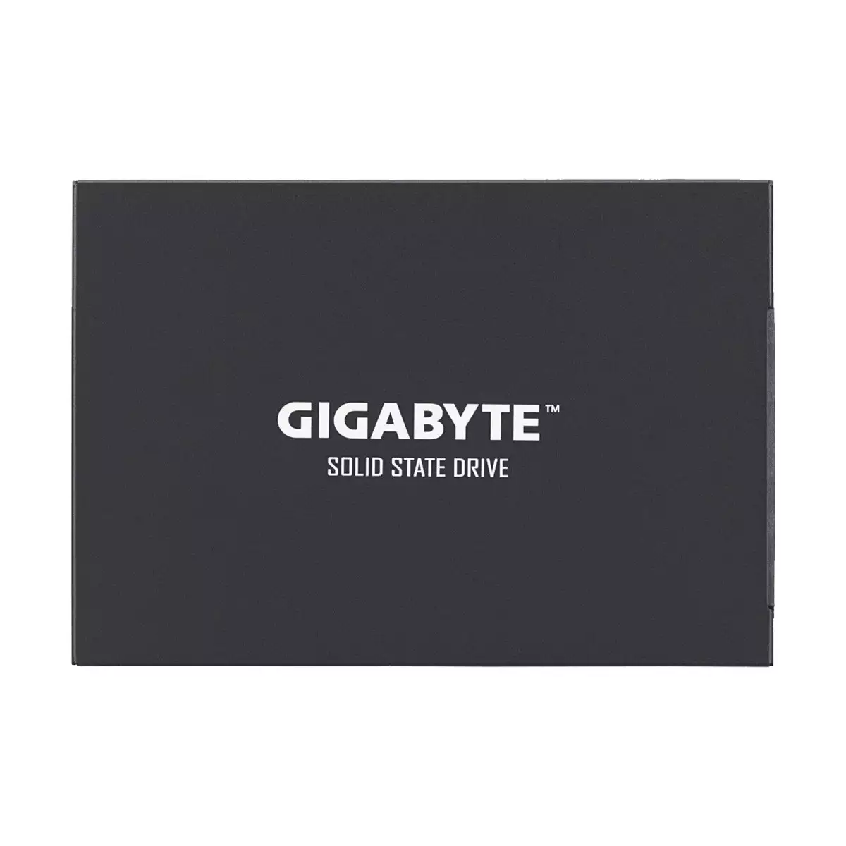 Gigabyte 256GB 2.5 Inch SATAIII SSD