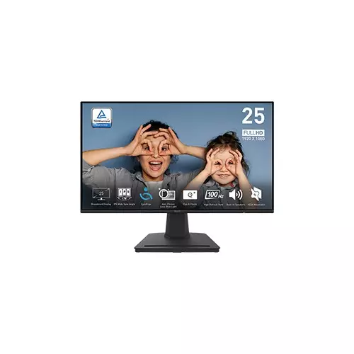 MSI PRO MP252 24.5-inch 100Hz Business Productivity Monitor