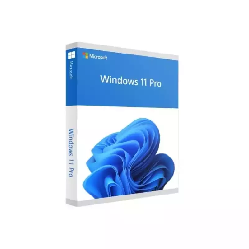 MICROSOFT WINDOWS 11 PROFESSIONAL 64 BIT ENG INTL 1PK DSP OEI DVD