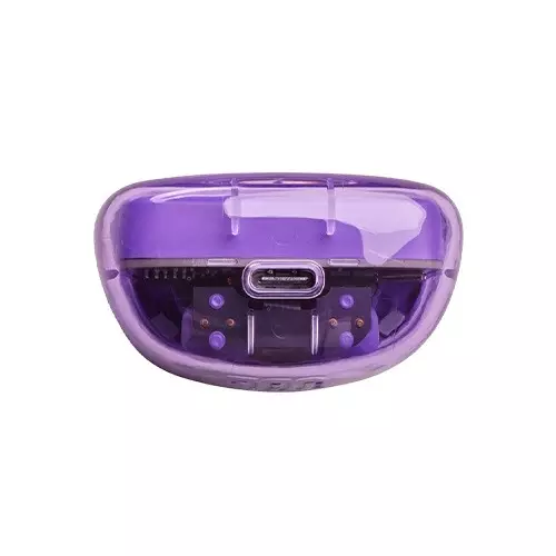 JBL Tune Flex Ghost In-Ear Bluetooth Earbuds (Purple Ghost)-2