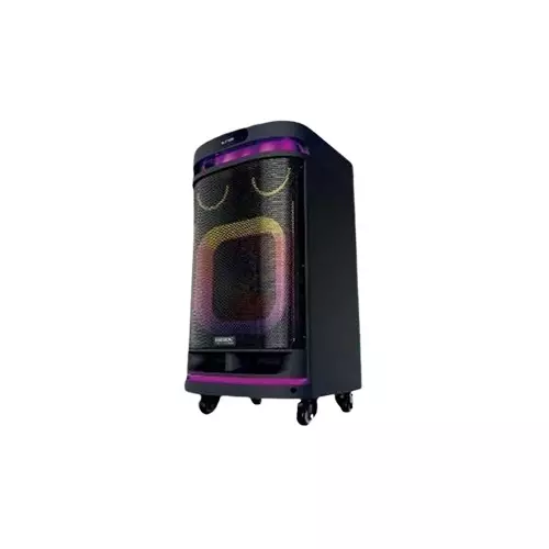 TEMEISHENG 10291 2pcs wireless hand mic TROLLEY Speaker