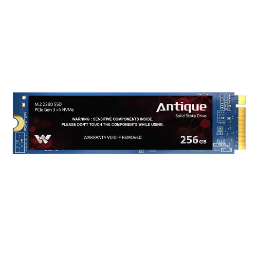 Walton WS2256 256GB PCIe Gen 3.0 NVMe M.2 2280 SSD