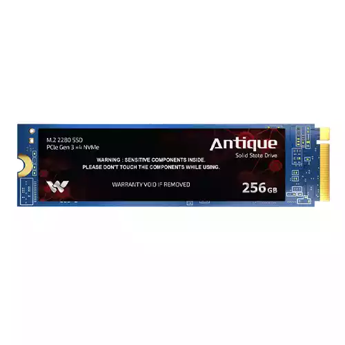 Walton WS2256 256GB PCIe Gen 3.0 NVMe M.2 2280 SSD