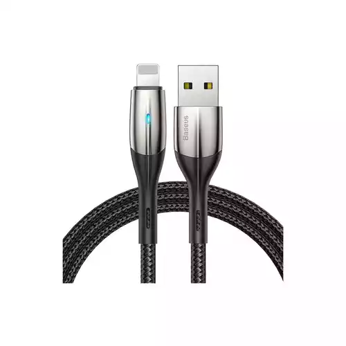Baseus USB Male to Lightning Male, 1 Meter, Black Charging & Data Cable CALSP-G01 thumbnail
