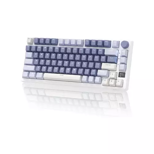 ROYAL KLUDGE RK M75 GASKET MOUNTED TRI-MODE MECHANICAL KEYBOARD