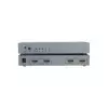 Dtech DT-7422 2 To 2 4k HDMI Matrix Switch-1