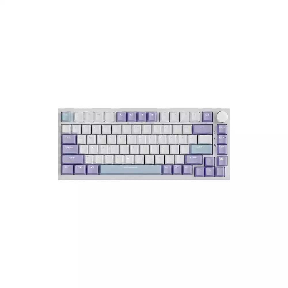 Ajazz AK820 75% Gasket-mounted Wired Mechanical Keyboard (Stray Night)