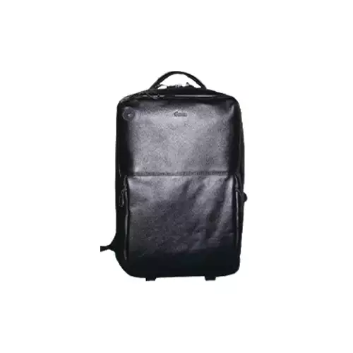 FIESTA EXCLUSIVE BLB 606 MULTIPURPOSE OFFICE CUM LAPTOP BACKPACK