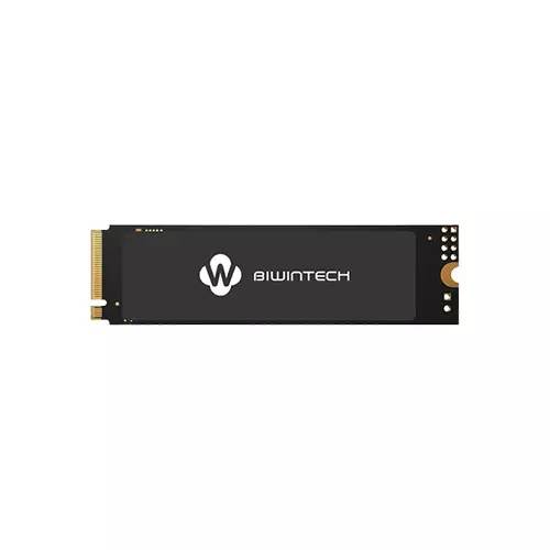 BIWINTECH NX500 256GB PCIE M.2 NVME SSD