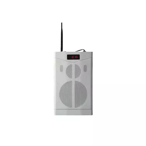 DSPPA MAG6363G Bluetooth Network Teaching Speaker with 2.4G Wireless Microphone