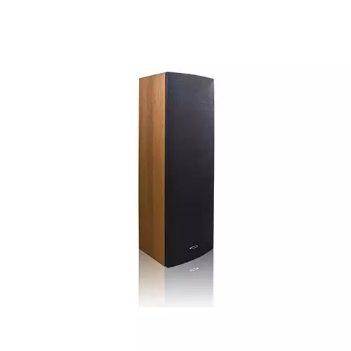 DSPPA DSP203II Indoor Column PA Speaker